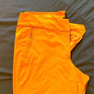 Lane Bryant gold pixie pointe pants